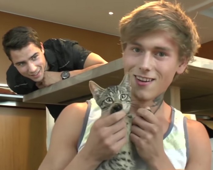 Gay Porn Cat - Kevin Warhol and BelAmi Gay Porn Stars With A Kitten Named ...