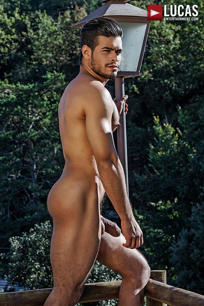 Flaunting Huge Dick Brazilian Tranny - Big Dick Gay Brazilian Models | Gay Fetish XXX