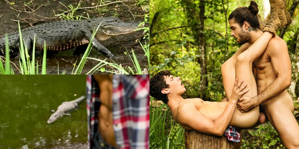 Gay Crocodile Porn - Diego Sans Fucks Kaleb Stryker Near An Alligator In ...